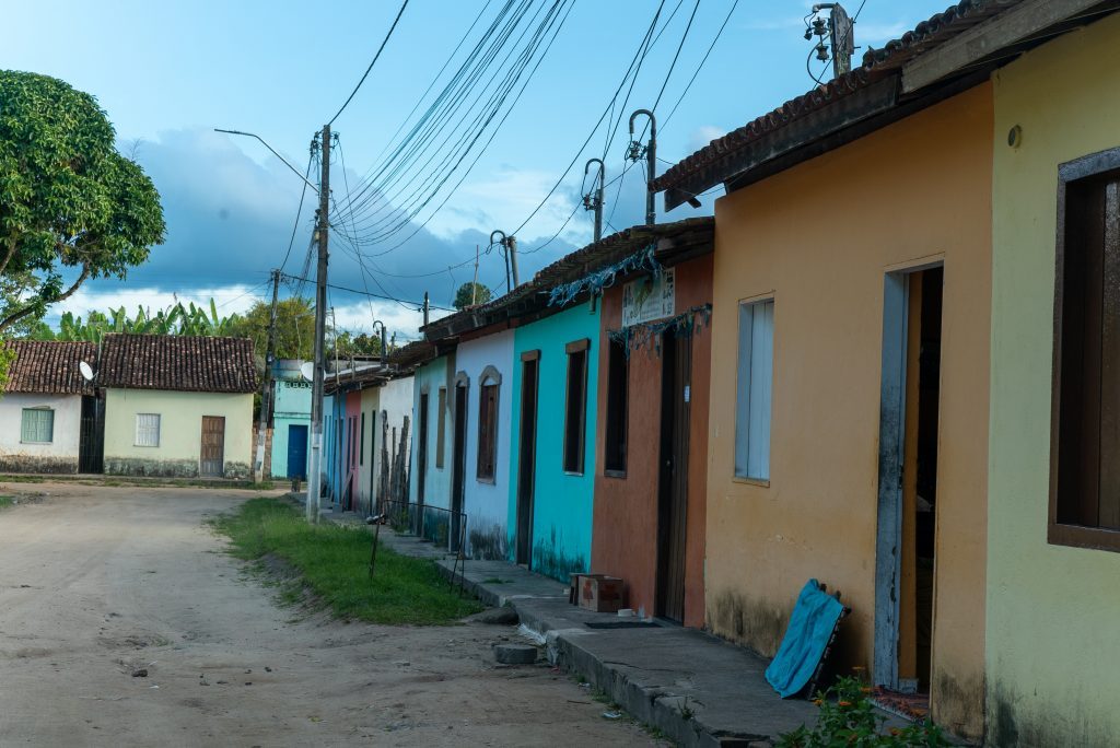 Wood samples and analysis